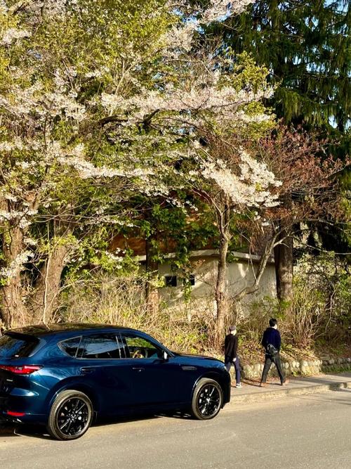 长安马自达cx6(长安马自达cx60)