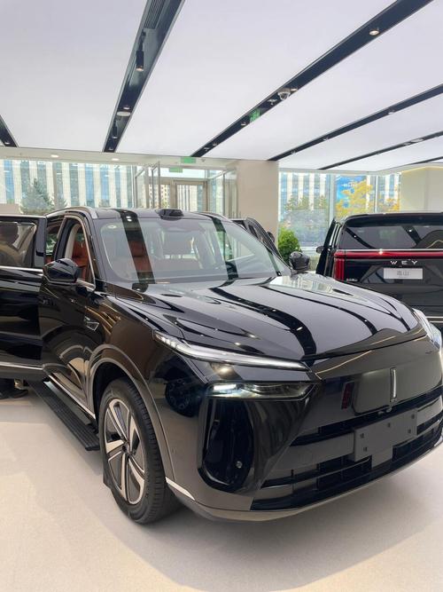 魏派所有车型,魏派是啥车