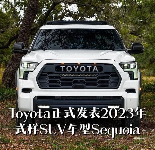 丰田新车suv即将上市／丰田新车suv即将上市图片